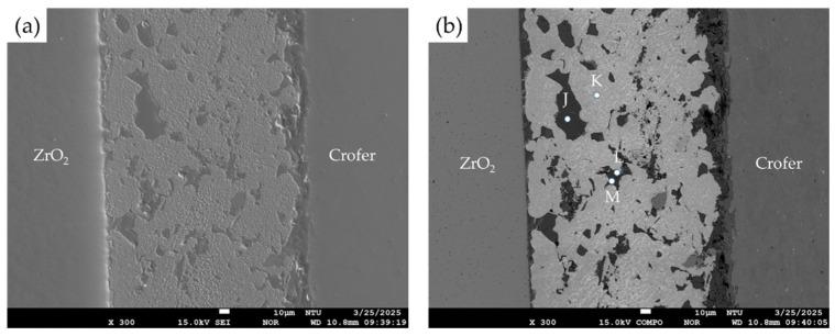 https://cdn.ncbi.nlm.nih.gov/pmc/blobs/d5a8/12072336/4e0b0c64b503/materials-18-01956-g009.jpg