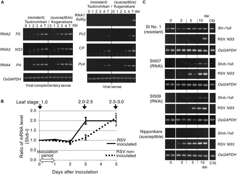 https://cdn.ncbi.nlm.nih.gov/pmc/blobs/d5aa/7225774/a1da6fa32a5c/fpls-11-00519-g003.jpg