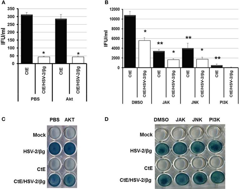 https://cdn.ncbi.nlm.nih.gov/pmc/blobs/d5ab/4222120/405361b76bd3/fcimb-04-00158-g0002.jpg