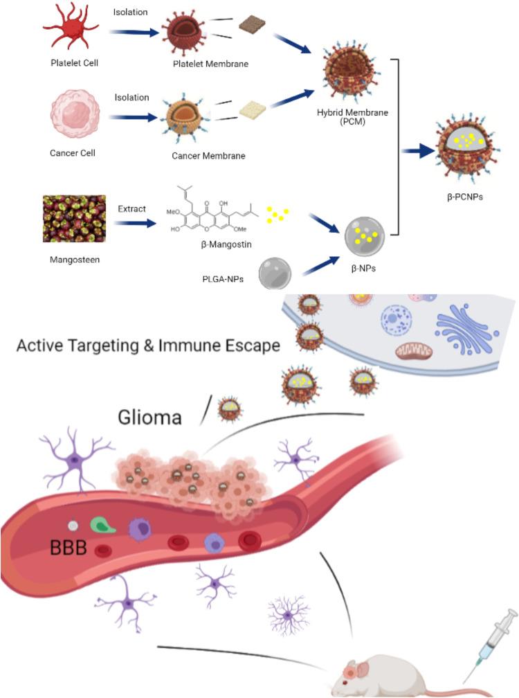 https://cdn.ncbi.nlm.nih.gov/pmc/blobs/d5ab/8727453/a17968775579/IJN-16-8433-g0001.jpg
