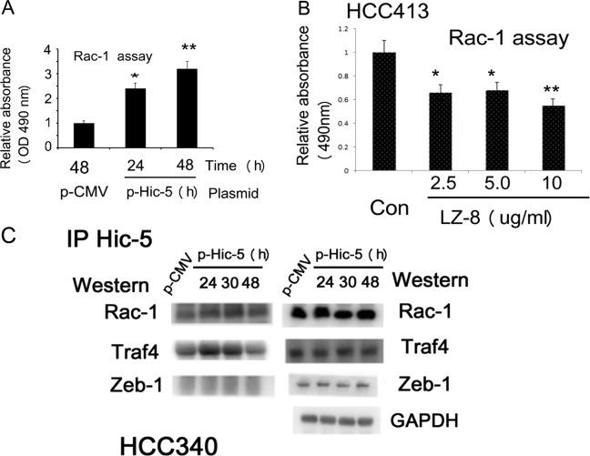 https://cdn.ncbi.nlm.nih.gov/pmc/blobs/d5af/6684519/31c45305cbf0/41389_2019_149_Fig3_HTML.jpg