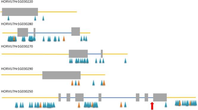 https://cdn.ncbi.nlm.nih.gov/pmc/blobs/d5b2/6129617/489e8d8f055a/fpls-09-01229-g002.jpg