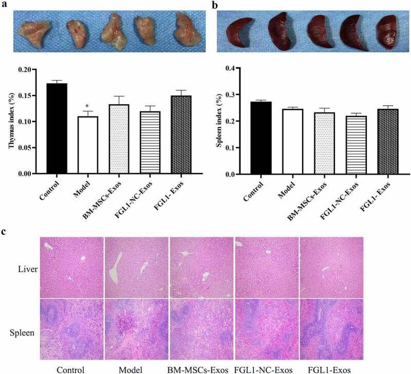 https://cdn.ncbi.nlm.nih.gov/pmc/blobs/d5b2/9995129/72aa0653634c/KBIE_A_2090379_F0007_OC.jpg