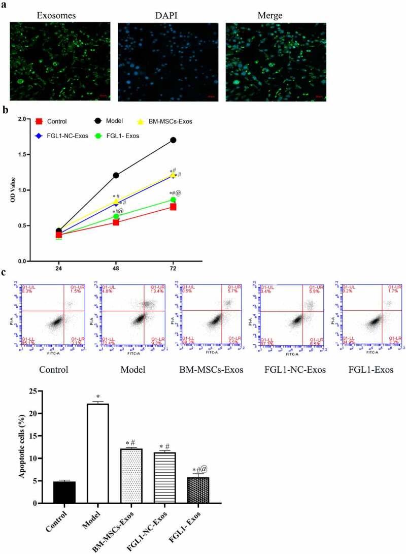 https://cdn.ncbi.nlm.nih.gov/pmc/blobs/d5b2/9995129/9d3c8c863a96/KBIE_A_2090379_F0002_OC.jpg