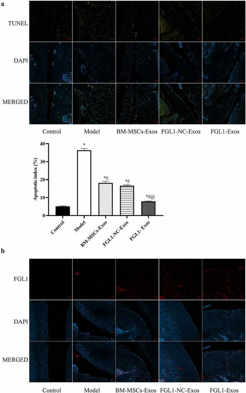 https://cdn.ncbi.nlm.nih.gov/pmc/blobs/d5b2/9995129/ba031d0636ee/KBIE_A_2090379_F0006_OC.jpg