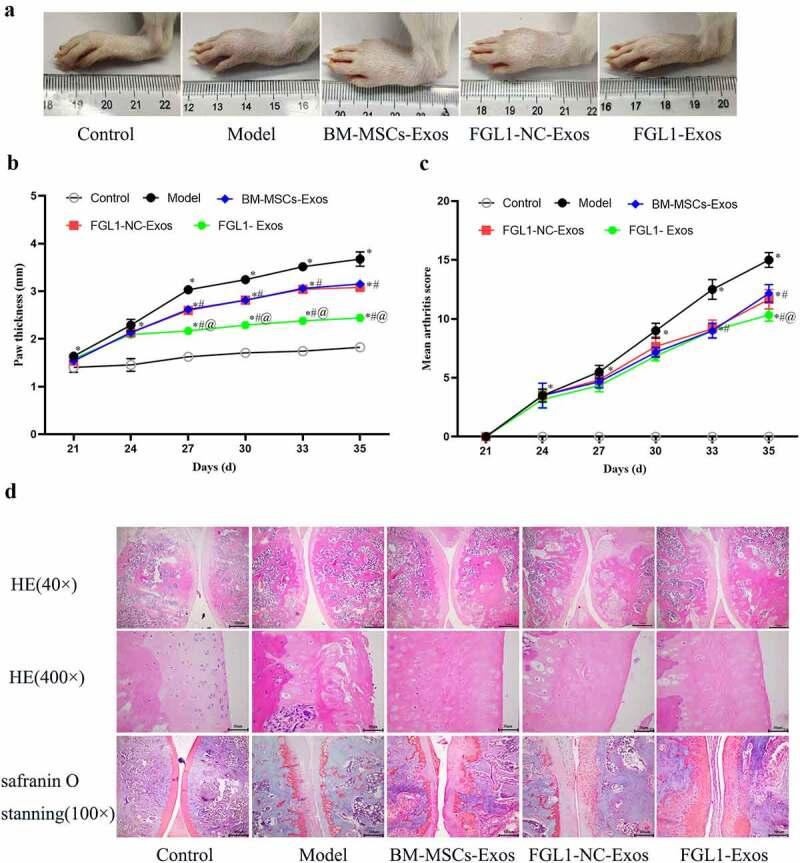 https://cdn.ncbi.nlm.nih.gov/pmc/blobs/d5b2/9995129/c52652cb85a4/KBIE_A_2090379_F0004_OC.jpg