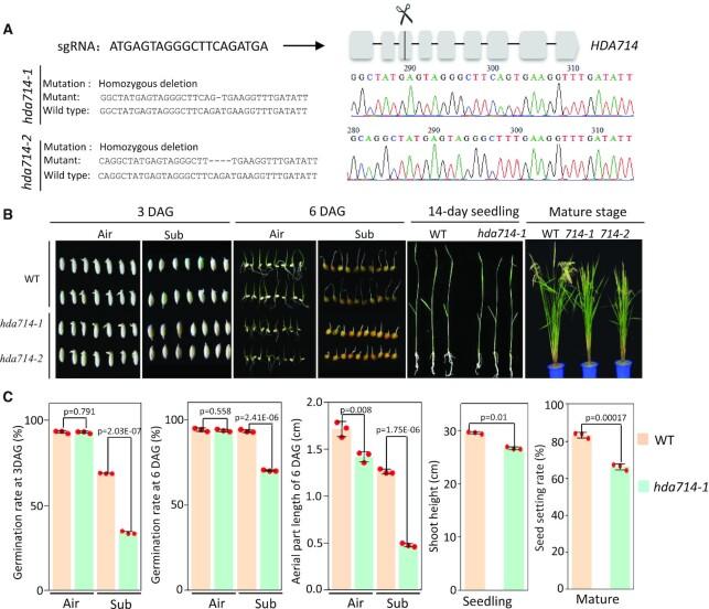 https://cdn.ncbi.nlm.nih.gov/pmc/blobs/d5b4/8096213/3b0e75aac473/gkab244fig1.jpg