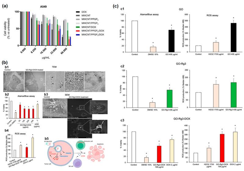 https://cdn.ncbi.nlm.nih.gov/pmc/blobs/d5b8/10180519/1364fb2d6a43/nanomaterials-13-01458-g007.jpg