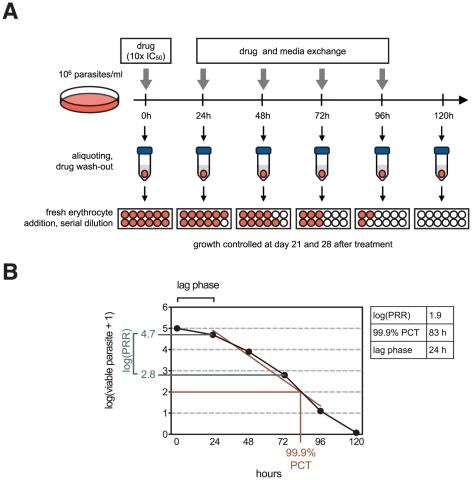 https://cdn.ncbi.nlm.nih.gov/pmc/blobs/d5b9/3285618/a4a4deeb2055/pone.0030949.g001.jpg