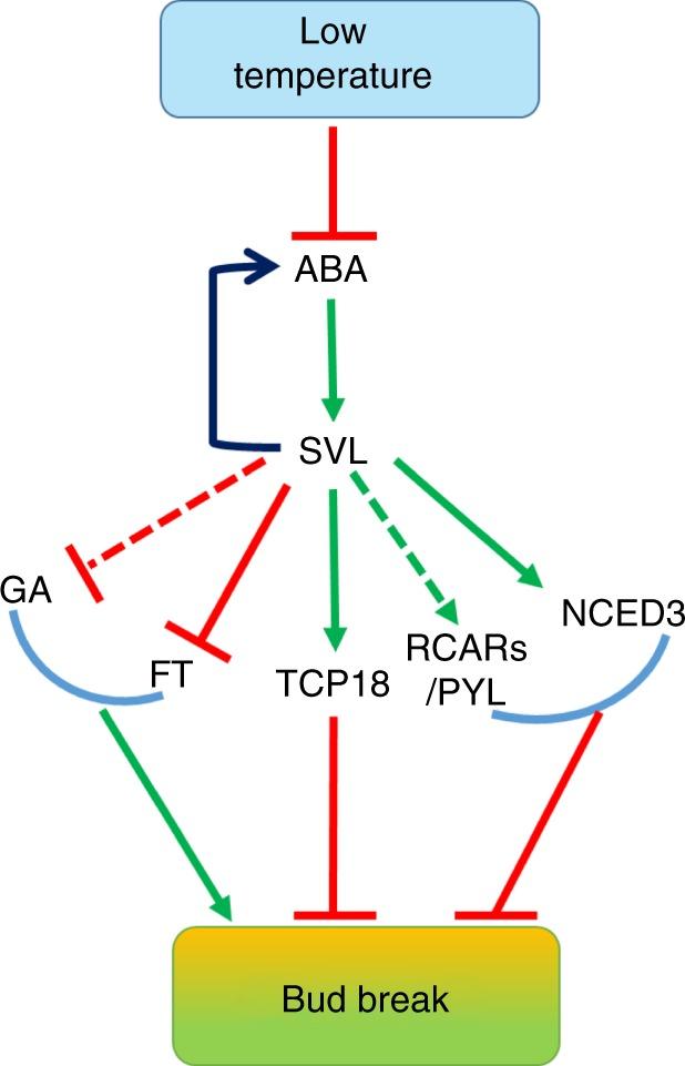 https://cdn.ncbi.nlm.nih.gov/pmc/blobs/d5b9/6177393/1e3cefb8c6db/41467_2018_6696_Fig7_HTML.jpg