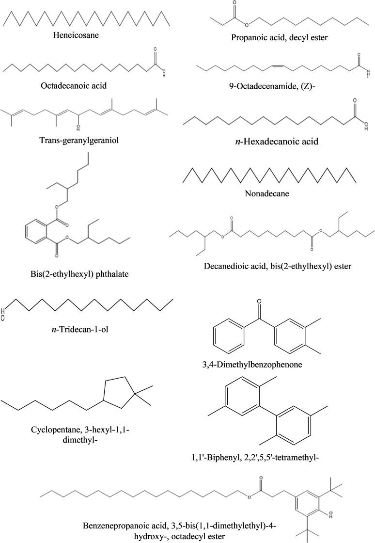 https://cdn.ncbi.nlm.nih.gov/pmc/blobs/d5b9/9909239/fcd9e3653fde/fpls-13-1089562-g010.jpg