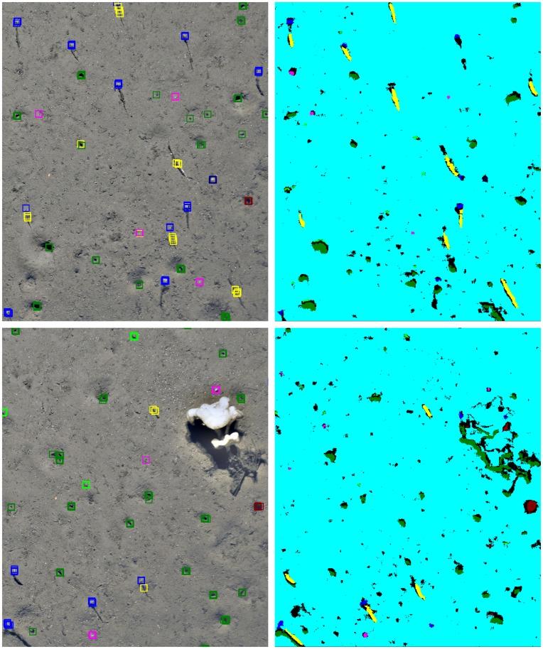 https://cdn.ncbi.nlm.nih.gov/pmc/blobs/d5ba/3367988/624a2d12d709/pone.0038179.g008.jpg