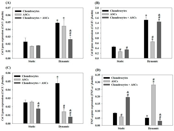https://cdn.ncbi.nlm.nih.gov/pmc/blobs/d5ba/5855592/04101309030f/ijms-19-00370-g004.jpg