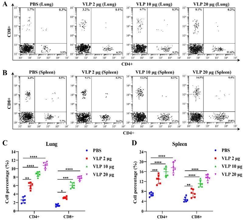 https://cdn.ncbi.nlm.nih.gov/pmc/blobs/d5bb/11680274/6ef2eec3cecc/viruses-16-01932-g007.jpg