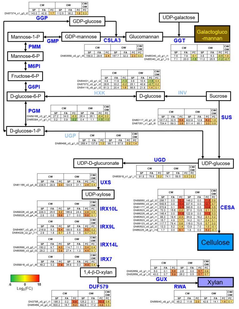 https://cdn.ncbi.nlm.nih.gov/pmc/blobs/d5bc/10531420/c7cd334990c3/genes-14-01698-g005.jpg