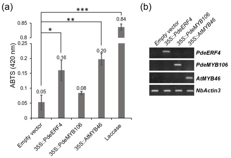 https://cdn.ncbi.nlm.nih.gov/pmc/blobs/d5bc/10531420/daa590acfc3e/genes-14-01698-g009.jpg