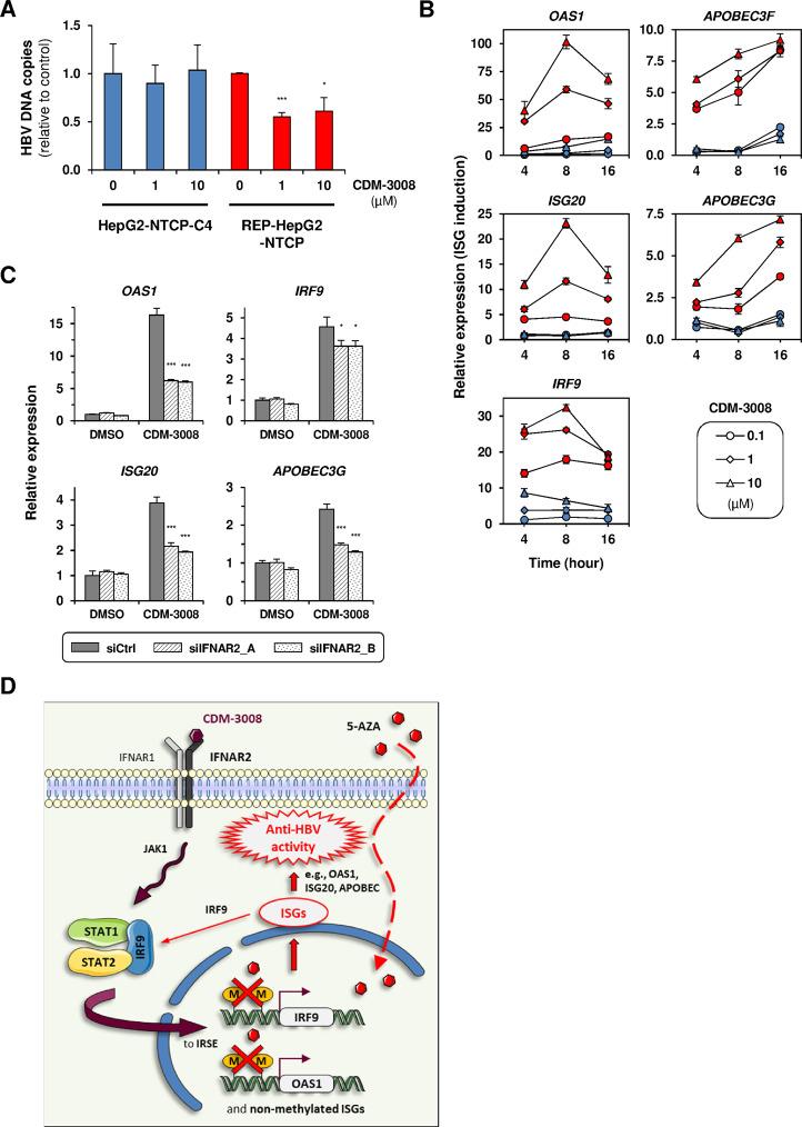 https://cdn.ncbi.nlm.nih.gov/pmc/blobs/d5be/8172847/1899b3499d74/41420_2021_515_Fig6_HTML.jpg