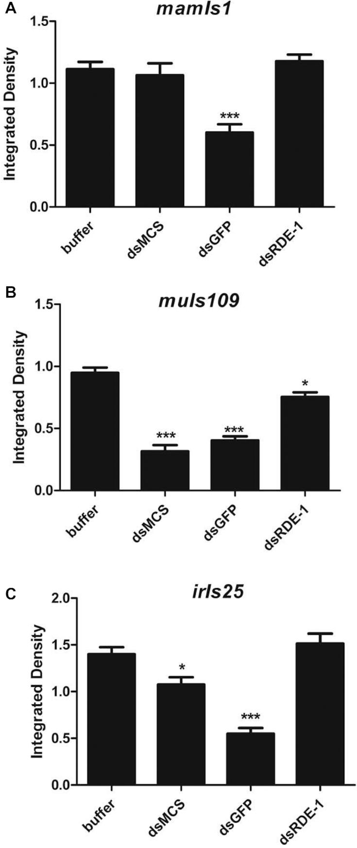 https://cdn.ncbi.nlm.nih.gov/pmc/blobs/d5c0/6486631/d8fc2d911142/gkz154fig4.jpg