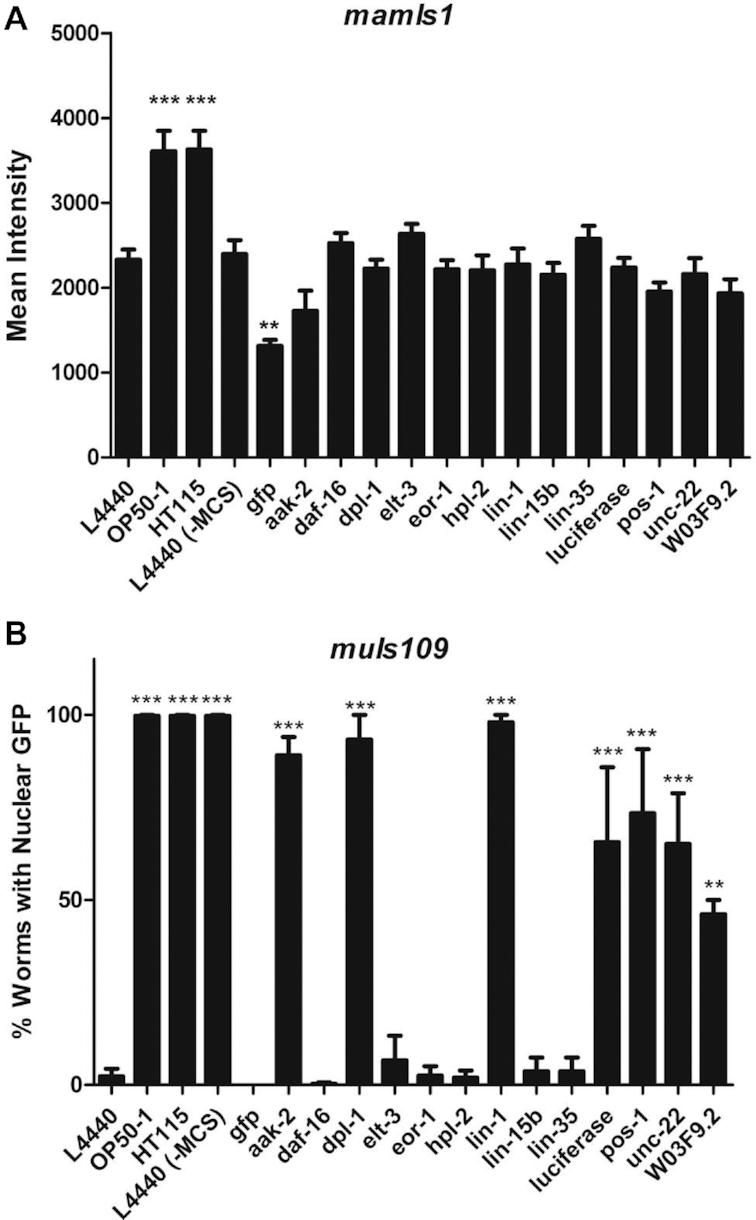 https://cdn.ncbi.nlm.nih.gov/pmc/blobs/d5c0/6486631/dffca1fcadb3/gkz154fig2.jpg