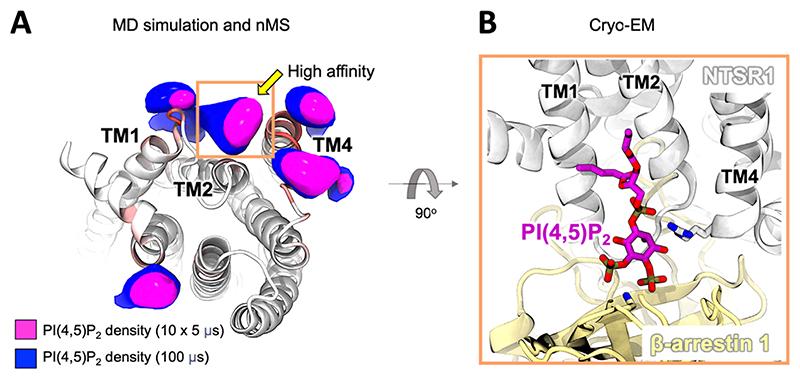 https://cdn.ncbi.nlm.nih.gov/pmc/blobs/d5c0/7617384/4a5e8f0cbac6/EMS202886-f002.jpg