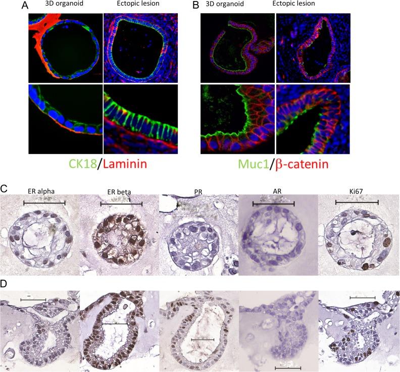 https://cdn.ncbi.nlm.nih.gov/pmc/blobs/d5c1/6295963/20d811387f5b/dey336f04.jpg