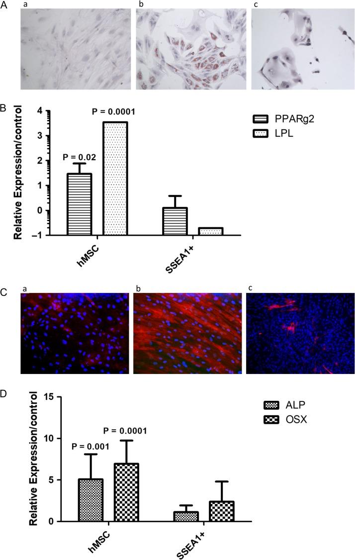 https://cdn.ncbi.nlm.nih.gov/pmc/blobs/d5c1/6295963/3f0ba8cc1835/dey336f05.jpg