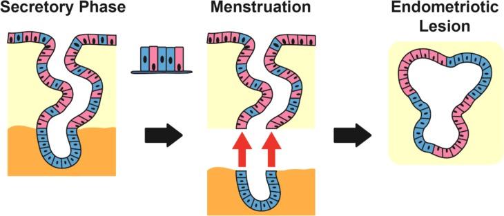 https://cdn.ncbi.nlm.nih.gov/pmc/blobs/d5c1/6295963/69cacb454102/dey336f06.jpg