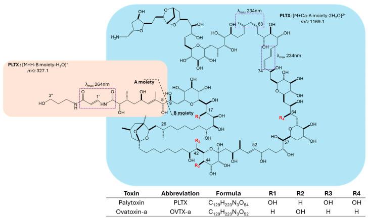 https://cdn.ncbi.nlm.nih.gov/pmc/blobs/d5c3/12197661/6bb3c8510b2d/toxins-17-00286-g001.jpg