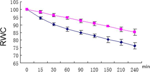 https://cdn.ncbi.nlm.nih.gov/pmc/blobs/d5c3/4081654/a13889f4e249/1471-2229-14-141-1.jpg