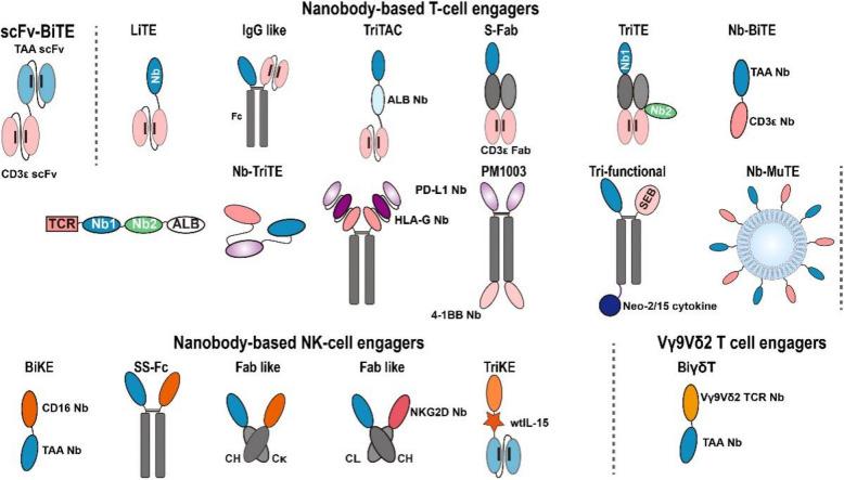 https://cdn.ncbi.nlm.nih.gov/pmc/blobs/d5c4/12142954/55088163f9e2/12964_2025_2270_Fig5_HTML.jpg