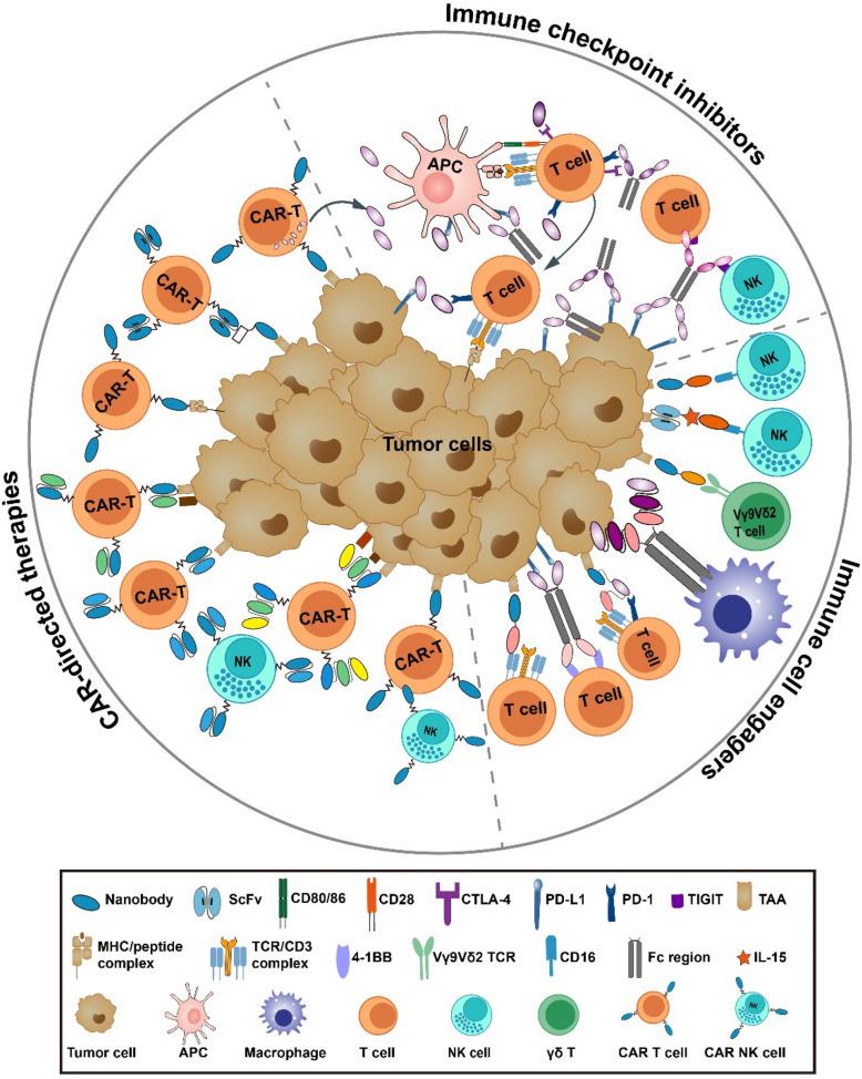 https://cdn.ncbi.nlm.nih.gov/pmc/blobs/d5c4/12142954/753f8f50101a/12964_2025_2270_Fig2_HTML.jpg