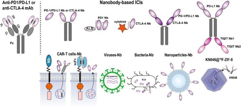 https://cdn.ncbi.nlm.nih.gov/pmc/blobs/d5c4/12142954/e3ecc20368ae/12964_2025_2270_Fig4_HTML.jpg