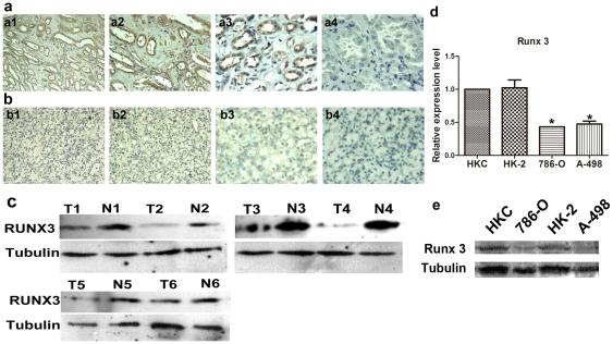 https://cdn.ncbi.nlm.nih.gov/pmc/blobs/d5c4/3310845/41e069d5a7b0/pone.0032961.g001.jpg
