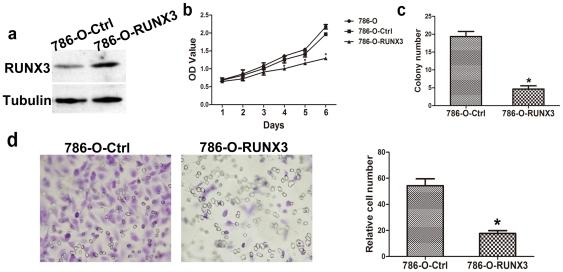 https://cdn.ncbi.nlm.nih.gov/pmc/blobs/d5c4/3310845/83017b99b985/pone.0032961.g002.jpg