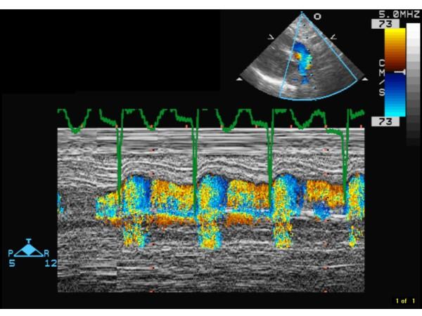 https://cdn.ncbi.nlm.nih.gov/pmc/blobs/d5c5/2890540/206ce16400e6/1824-7288-36-38-1.jpg