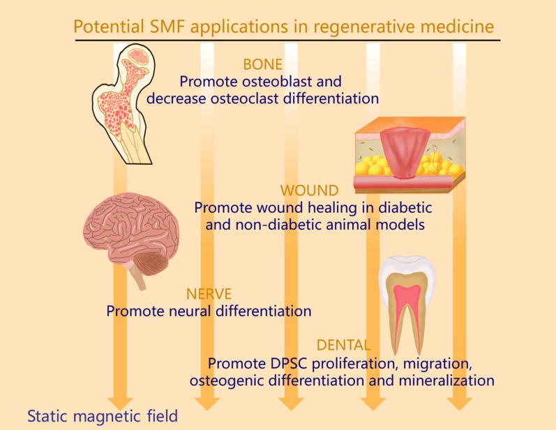 https://cdn.ncbi.nlm.nih.gov/pmc/blobs/d5c7/10939708/e972110743a5/ABPID9-000008-011503_1-g001.jpg