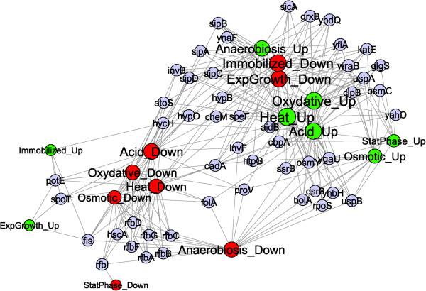 https://cdn.ncbi.nlm.nih.gov/pmc/blobs/d5c7/3878590/a2d703166c1a/1471-2180-13-294-5.jpg