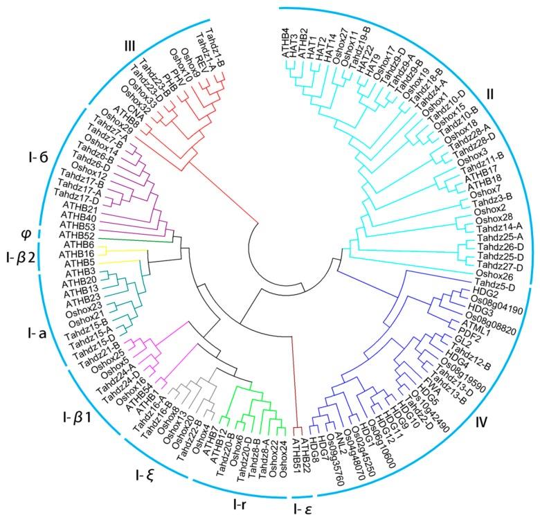 https://cdn.ncbi.nlm.nih.gov/pmc/blobs/d5c8/5852566/2bacc8c7500e/genes-09-00070-g002.jpg