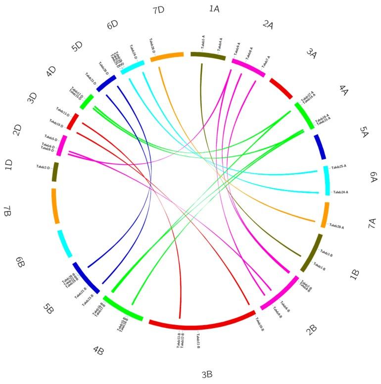 https://cdn.ncbi.nlm.nih.gov/pmc/blobs/d5c8/5852566/94bb5672d1fe/genes-09-00070-g001.jpg