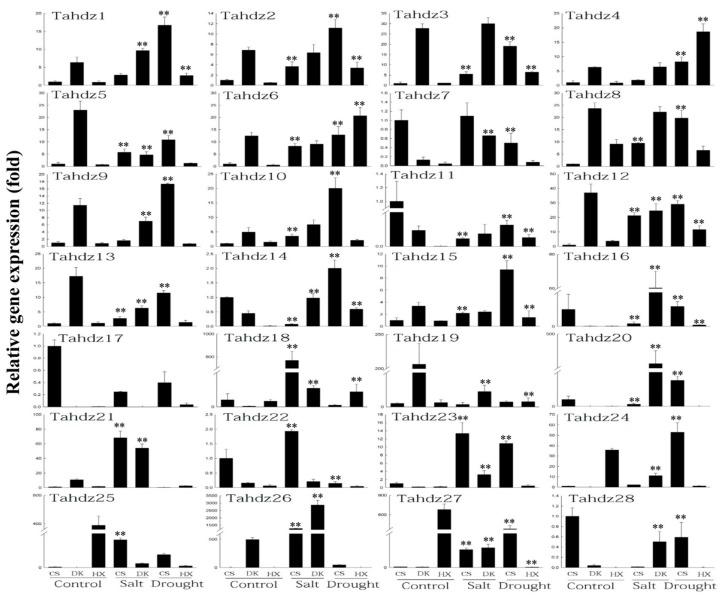 https://cdn.ncbi.nlm.nih.gov/pmc/blobs/d5c8/5852566/97478653b85d/genes-09-00070-g006.jpg