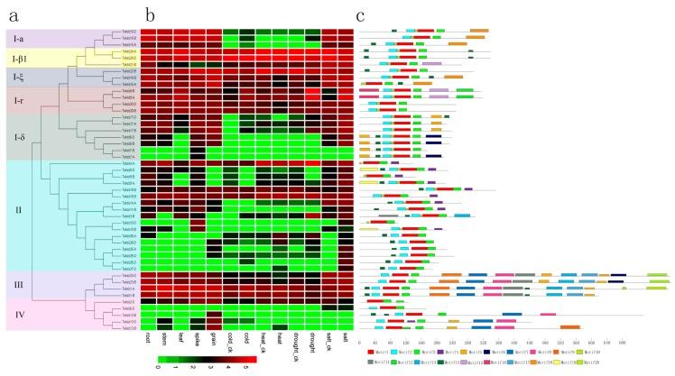 https://cdn.ncbi.nlm.nih.gov/pmc/blobs/d5c8/5852566/ee0025910130/genes-09-00070-g005.jpg