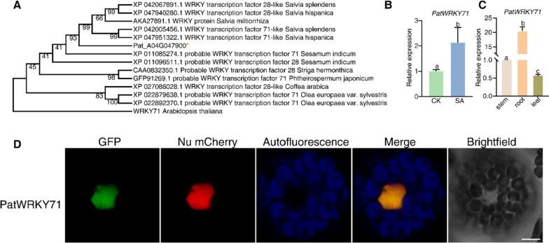 https://cdn.ncbi.nlm.nih.gov/pmc/blobs/d5c9/10759419/bc2b7412034e/12870_2023_4660_Fig4_HTML.jpg