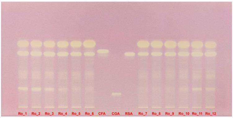 https://cdn.ncbi.nlm.nih.gov/pmc/blobs/d5c9/11434282/100f328fa16d/molecules-29-04438-g006.jpg