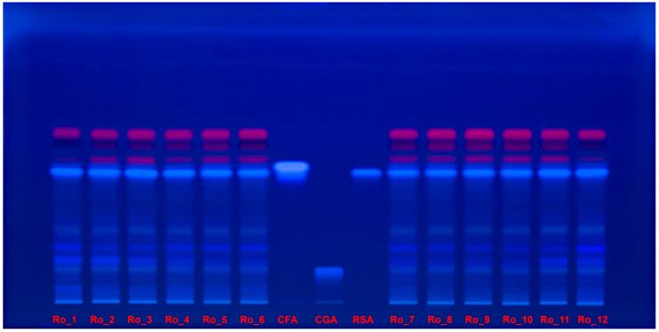 https://cdn.ncbi.nlm.nih.gov/pmc/blobs/d5c9/11434282/822ac47f21c4/molecules-29-04438-g005.jpg