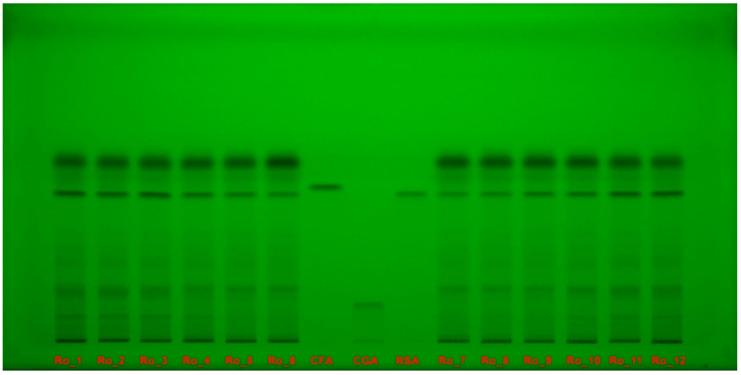 https://cdn.ncbi.nlm.nih.gov/pmc/blobs/d5c9/11434282/d5c16f98f30f/molecules-29-04438-g004.jpg