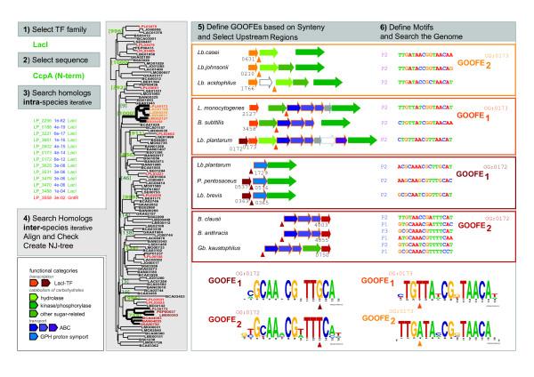 https://cdn.ncbi.nlm.nih.gov/pmc/blobs/d5c9/2329647/6cf075ab0111/1471-2164-9-145-7.jpg