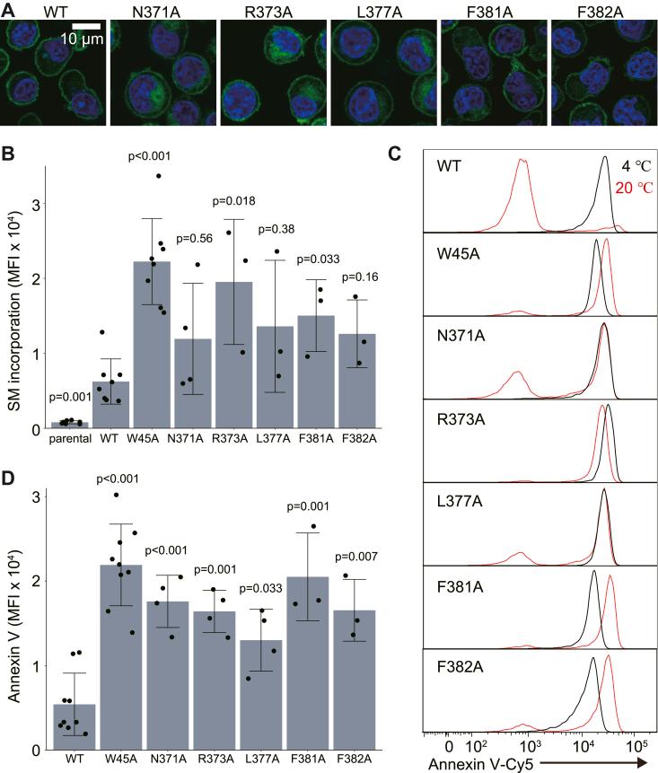 https://cdn.ncbi.nlm.nih.gov/pmc/blobs/d5cb/10938166/06c80b3a0bb0/gr4.jpg