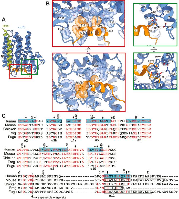 https://cdn.ncbi.nlm.nih.gov/pmc/blobs/d5cb/10938166/1d1bccd7f3f7/gr3.jpg