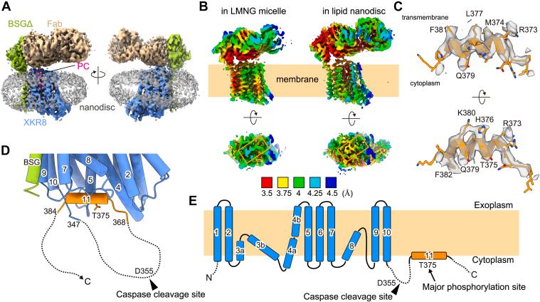 https://cdn.ncbi.nlm.nih.gov/pmc/blobs/d5cb/10938166/246aa1b6a786/gr2.jpg