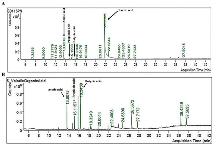 https://cdn.ncbi.nlm.nih.gov/pmc/blobs/d5cd/9775007/cb550c30005b/biomolecules-12-01829-g001.jpg